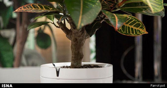 گلدانی که به گیاهان آب هم می‌ دهد! (+عکس)