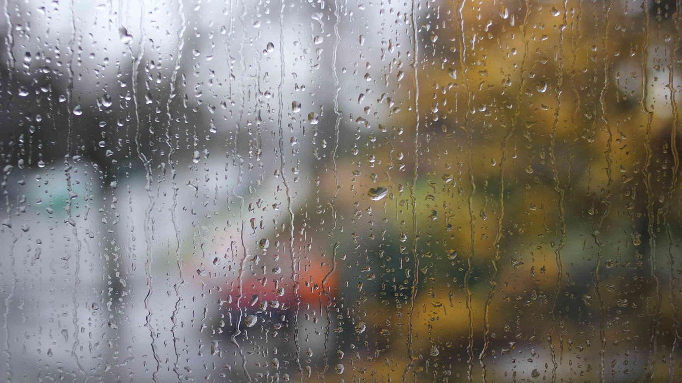 این تصاویر زیبا را ببینید!