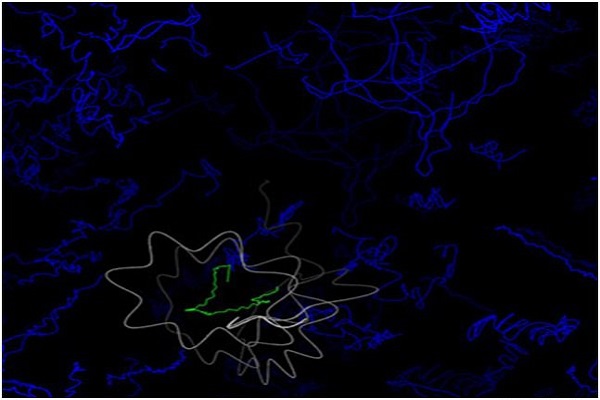 کیمیاگری در یک تریلیونم ثانیه! کیمیاگری در یک تریلیونم ثانیه!