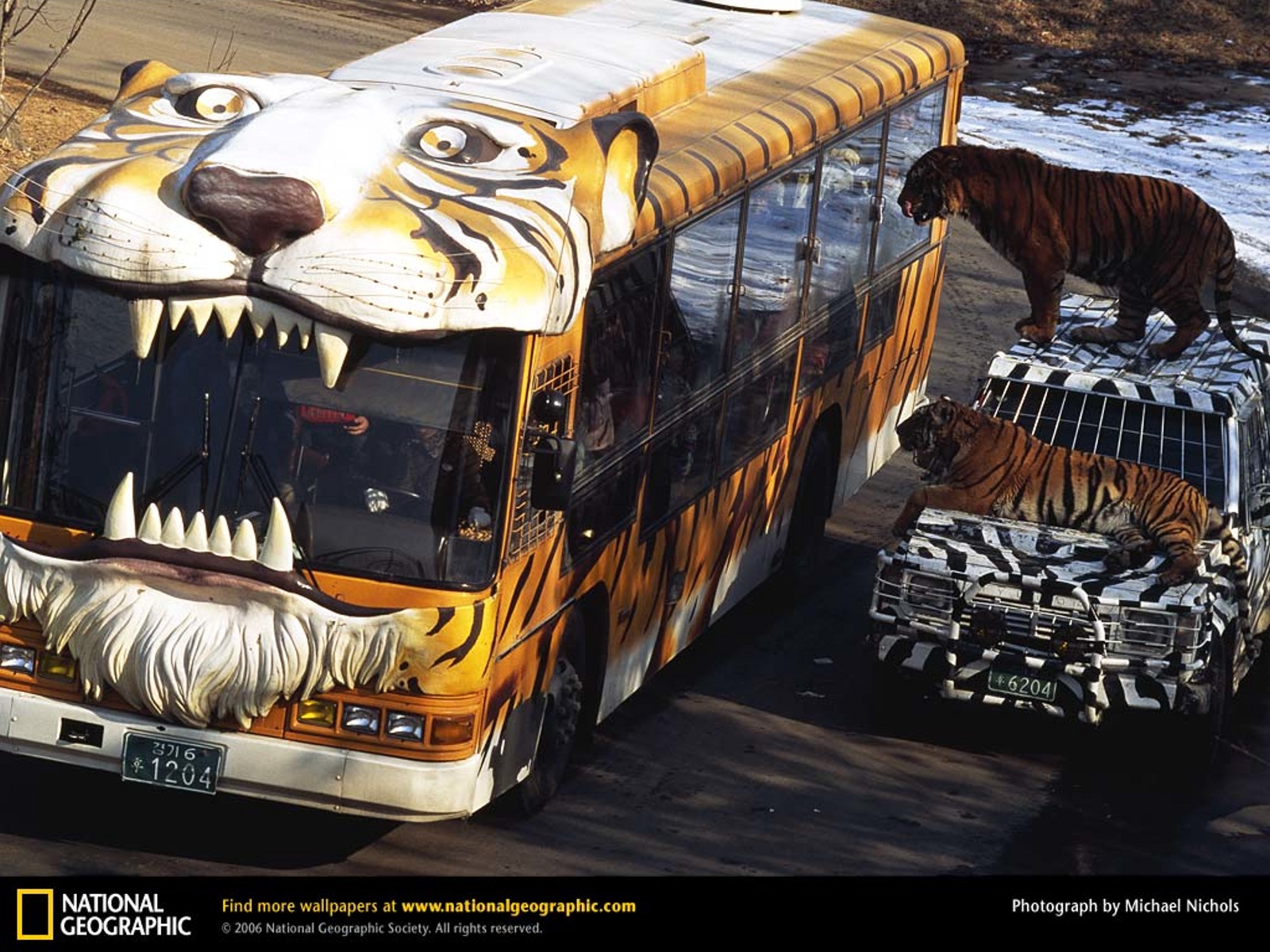 از نشنال جئوگرافیک(عکس)