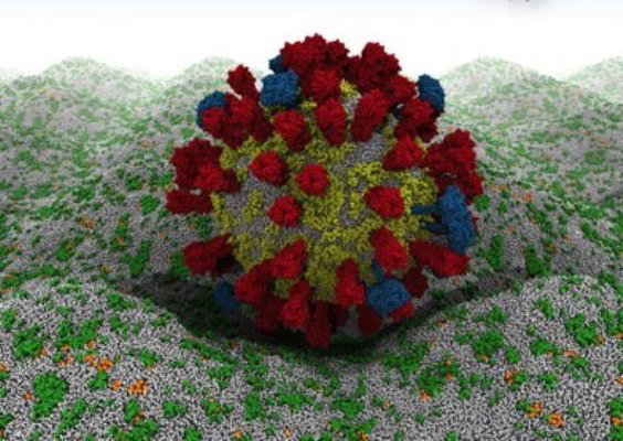 رمزگشایی از ویروس آنفلوآنزا در دنیای مجازی رمزگشایی از ویروس آنفلوآنزا در دنیای مجازی