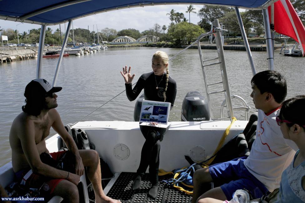 شنای توریست ها با کوسه (عکس)