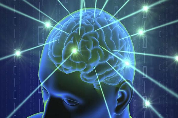 کشف ارتباط ژن‌ها با اندازه مغز انسان