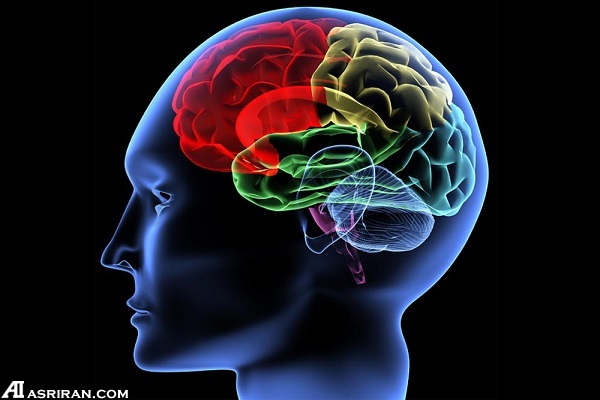 فناوریهایی که زیستفناوری را دگرگون ساختهاند فناوریهایی که زیستفناوری را دگرگون ساختهاند