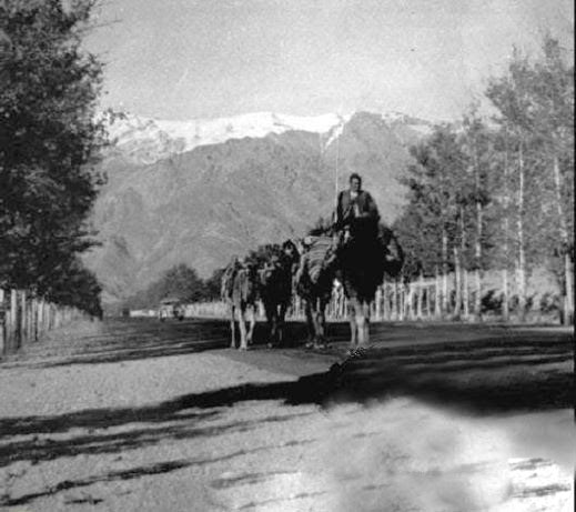 60 سال پیش خیابان ولی عصر (عکس)