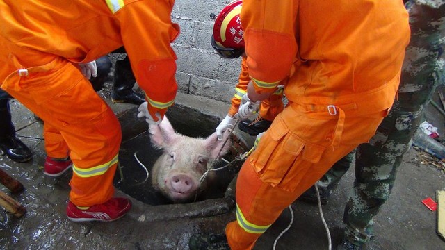 دیدنی های امروز دیدنی های امروز