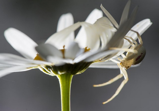 دیدنی های امروز