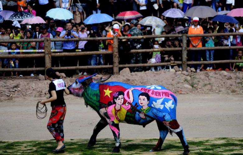 دیدنی های امروز