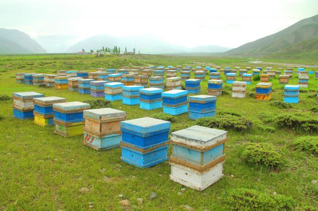 بهشتی در نزدیکی پایتخت (عکس)