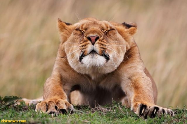 بدون شرح(عکس)