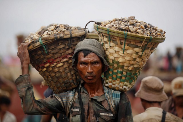 دیدنی های امروز دیدنی های امروز