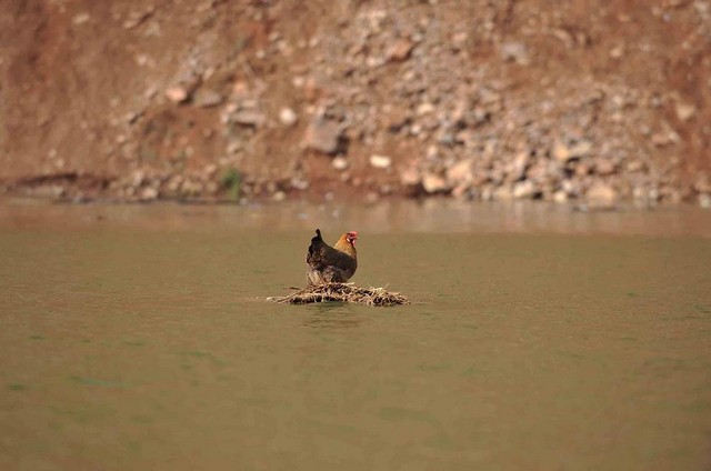 دیدنی های امروز