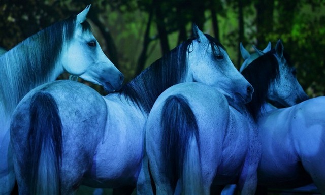 دیدنی های امروز