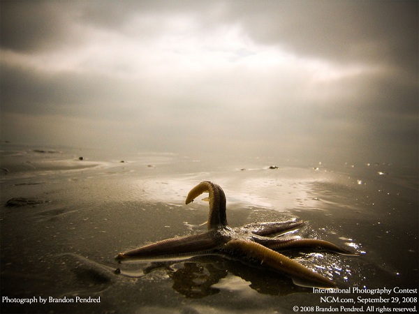 منتخبی از نشنال جئوگرافیک(عکس)