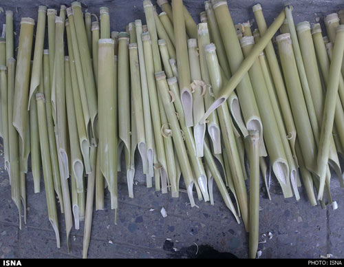 مردی که از دنیا و آدم‌هایش بُرید