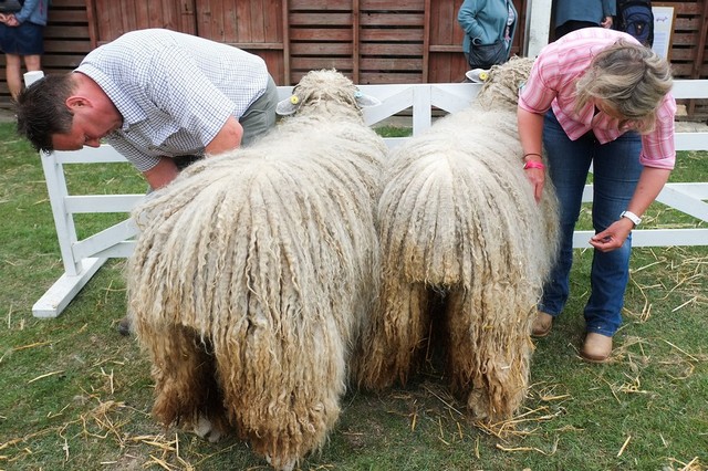 دیدنی های امروز