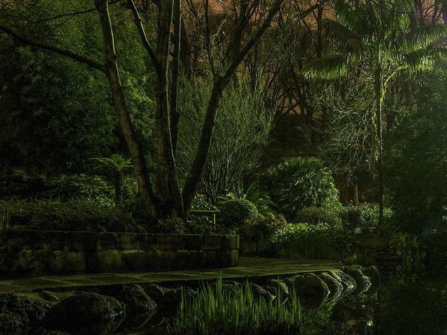 دیدنی های امروز