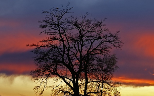 این تصاویر زیبا را ببینید!