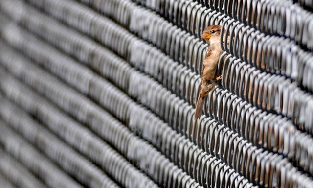 دیدنی های امروز