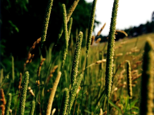 این تصاویر زیبا را ببینید!