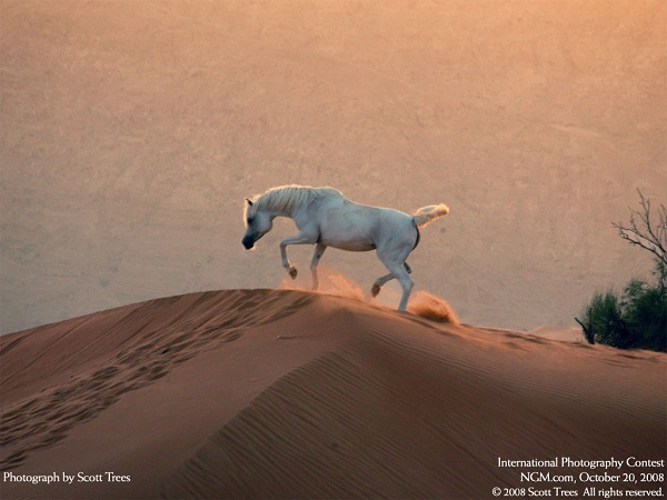 از نشنال جئوگرافیک(عکس)