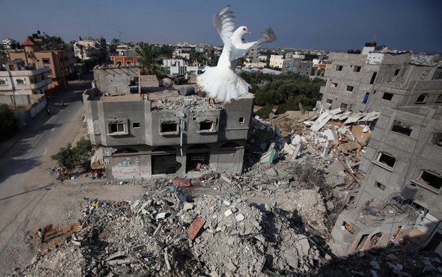 دیدنی های امروز