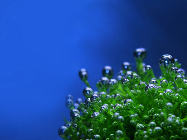 این تصاویر زیبا را ببینید!