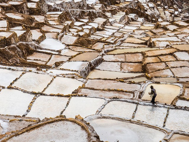 دیدنی های امروز