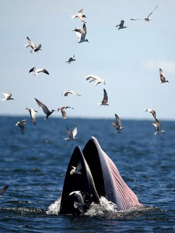 دیدنی های امروز