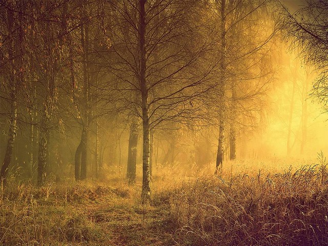 دیدنی های امروز دیدنی های امروز