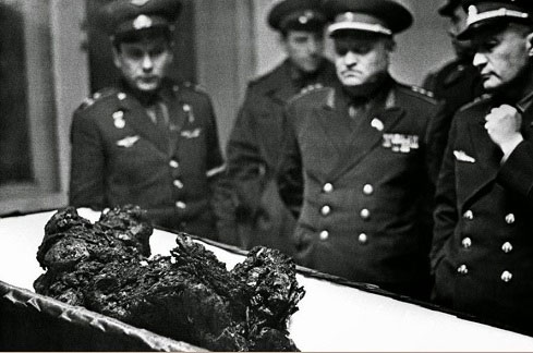 نخستین قربانی فضا (عکس)