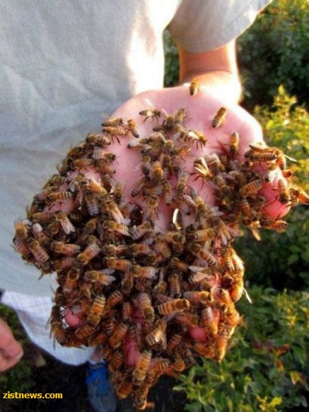 بدون شرح(عکس)