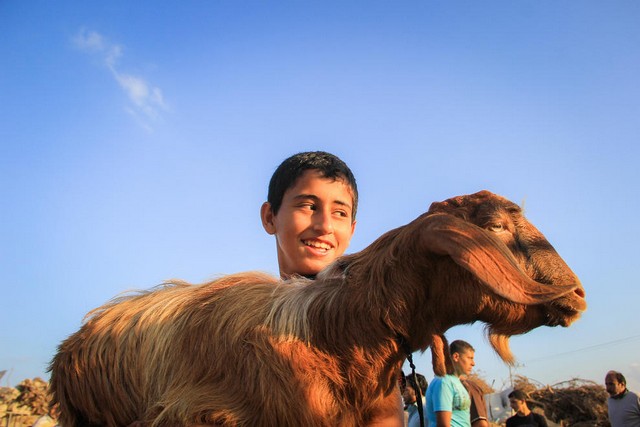 دیدنی های امروز دیدنی های امروز