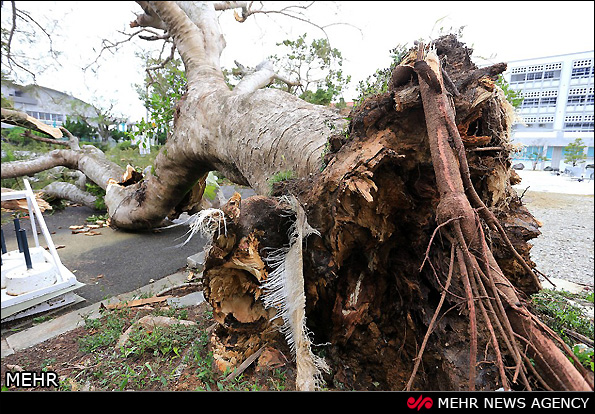 توفان در چین و ژاپن (عکس)