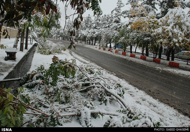 بارش برف در آذربایجان شرقی (عکس)