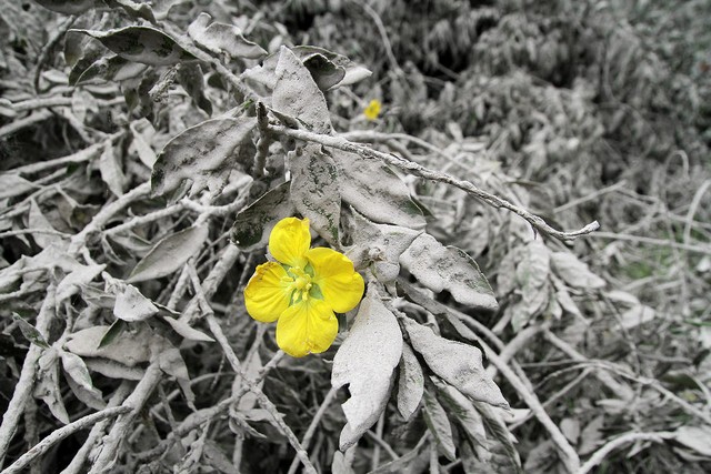 دیدنی های امروز