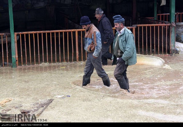 خسارت سیل به مرکز فروش دام در تبریز (عکس)