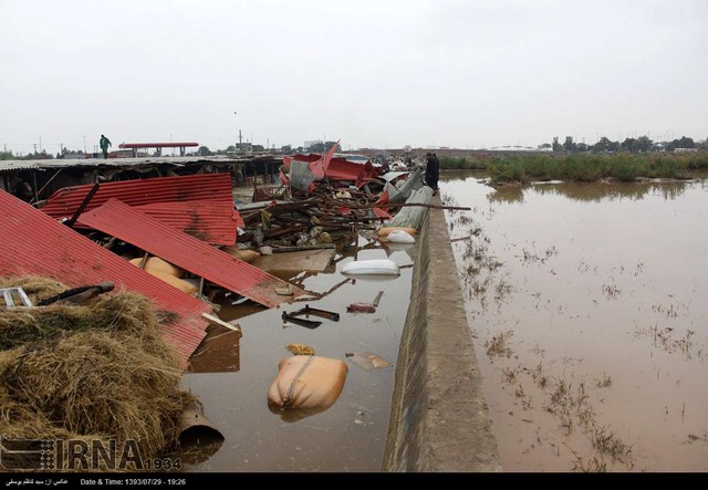 خسارت سیل به مرکز فروش دام در تبریز (عکس)