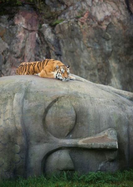 بدون شرح(عکس)