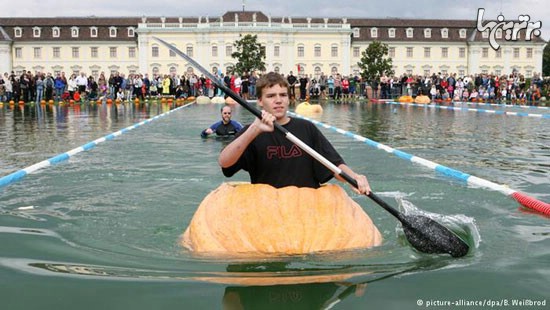 مسابقه هیجان‌انگیز کدو تنبل‌سواری! (+عکس)