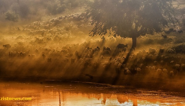 ابرهایی روی زمین!(عکس) ابرهایی روی زمین!(عکس)