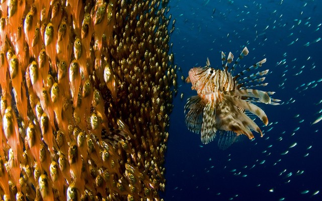 دیدنی های امروز