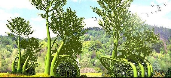 خانهای که دیوارهایش رشد میکنند+تصاویر خانهای که دیوارهایش رشد میکنند+تصاویر