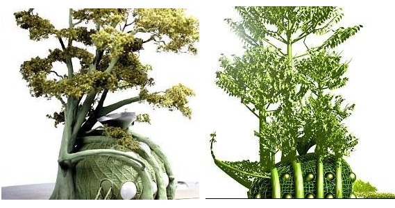 خانهای که دیوارهایش رشد میکنند+تصاویر خانهای که دیوارهایش رشد میکنند+تصاویر