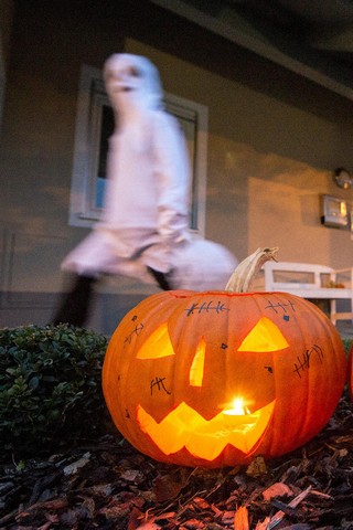 دیدنی های امروز دیدنی های امروز