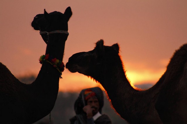 دیدنی های امروز دیدنی های امروز