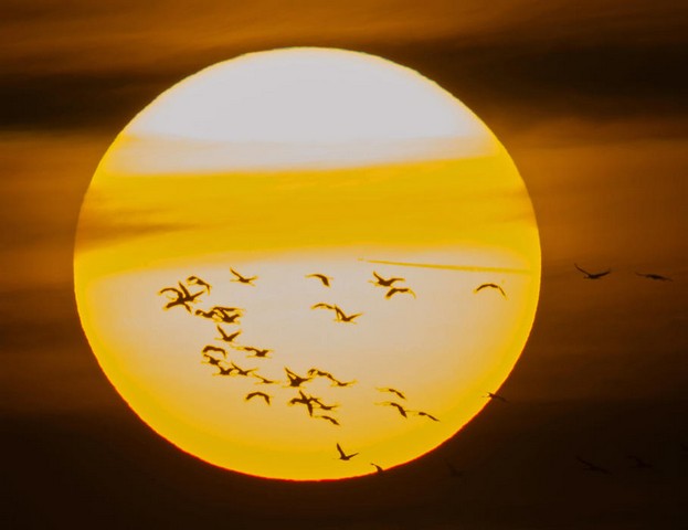 دیدنی های امروز دیدنی های امروز