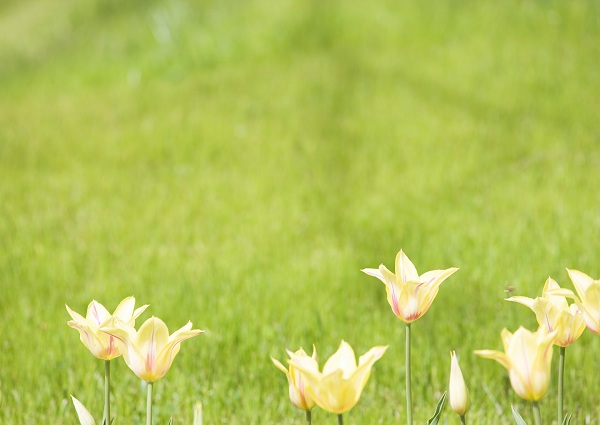 این تصاویر زیبا را ببینید!