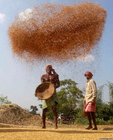 دیدنی های امروز