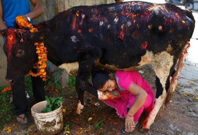 دیدنی های امروز دیدنی های امروز